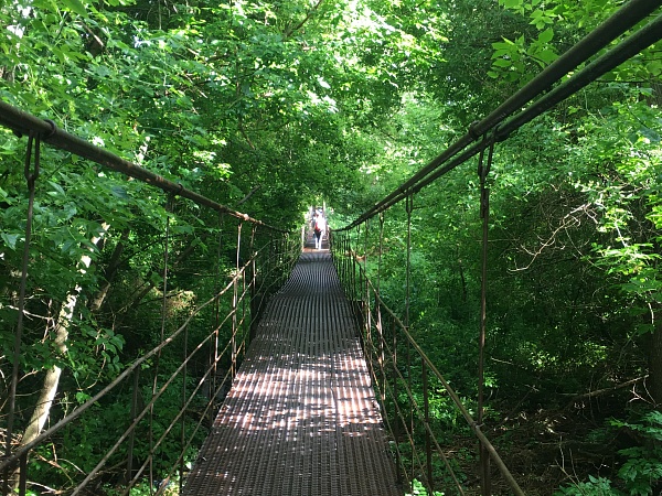 Самый длинный подвесной мост Черноземья